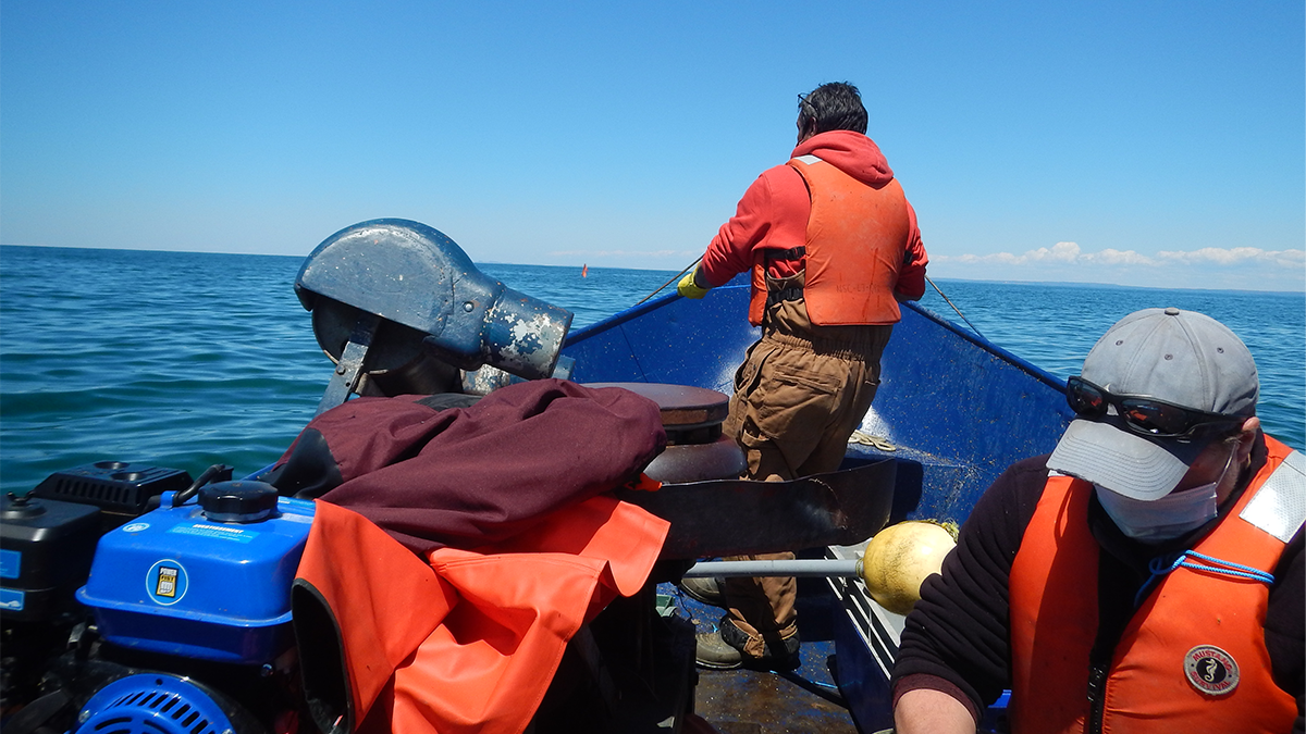 TC Energy: Environmental Study on Georgian Bay.