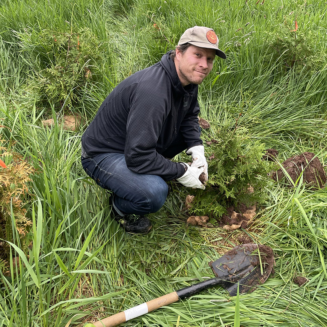 Meaford tree planting